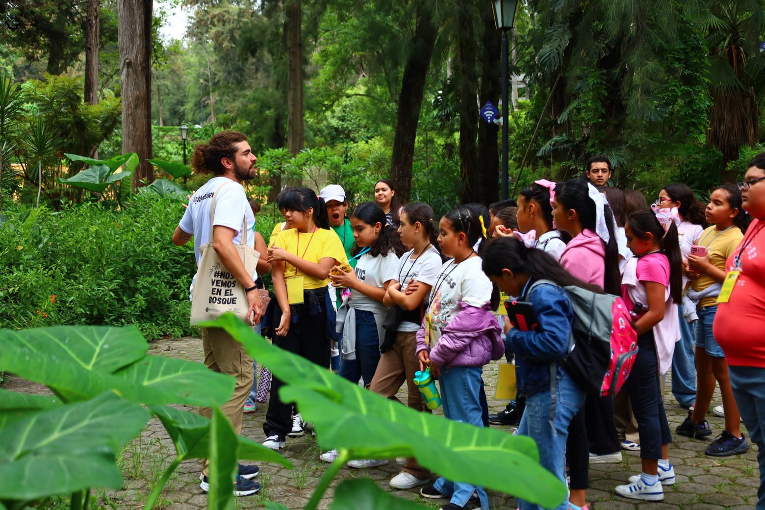 Acuden más de 7 millones de visitantes a los 13 bosques urbanos de la ciudad durante 2024