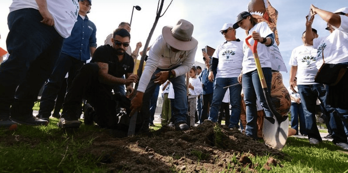 Reabre Parque Luis Quintanar a la ciudadanía; realizan reforestación