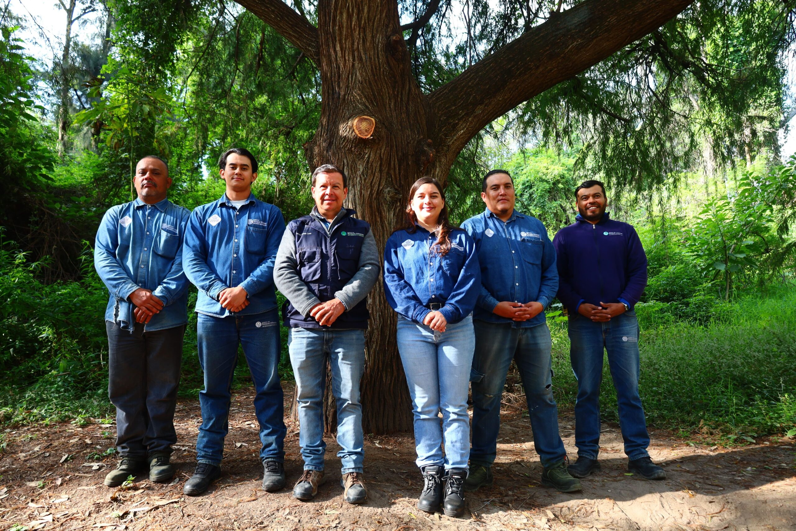 Presenta AMBU análisis arbóreo de Bosque Los Colomos y anuncia segundo ciclo de censos forestales en 2026