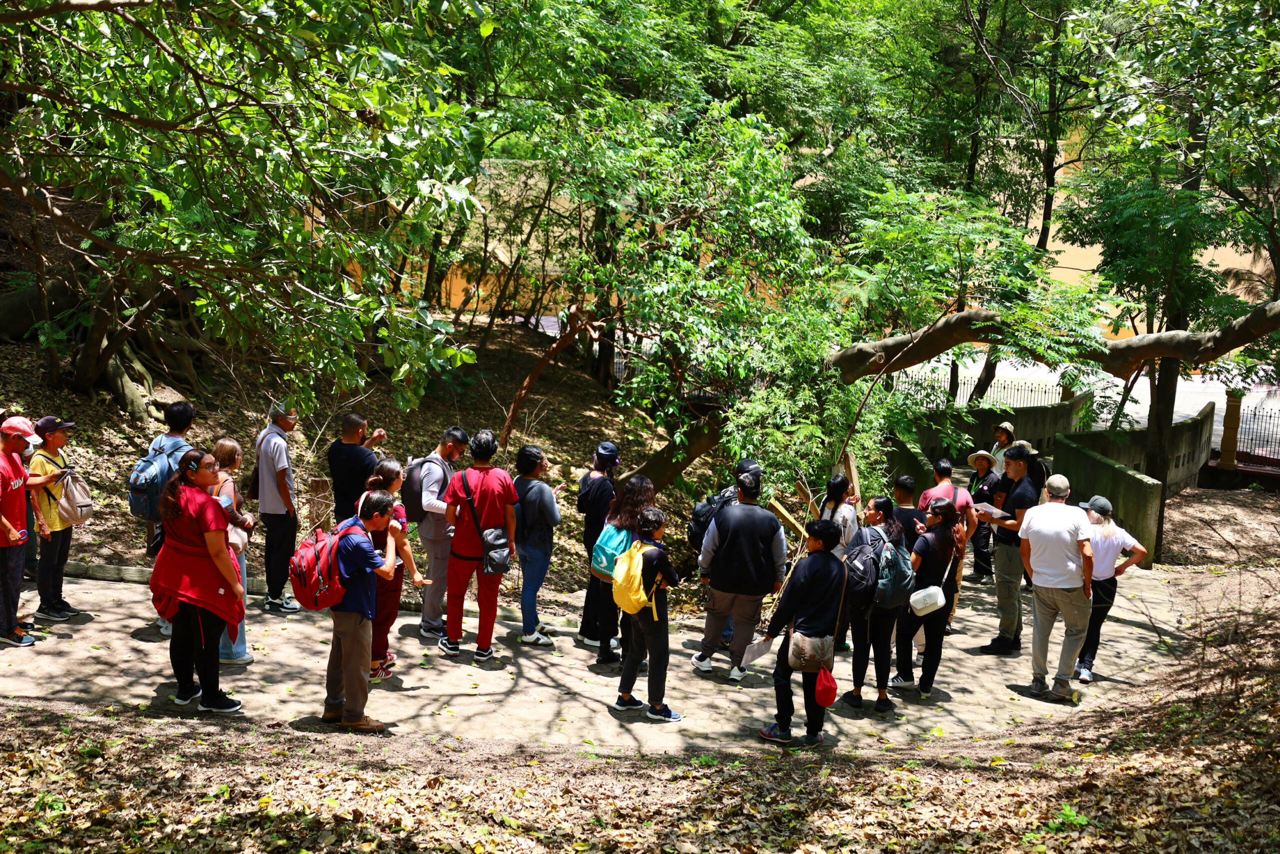 Registra AMBU cerca de 7 millones de visitantes en 2025