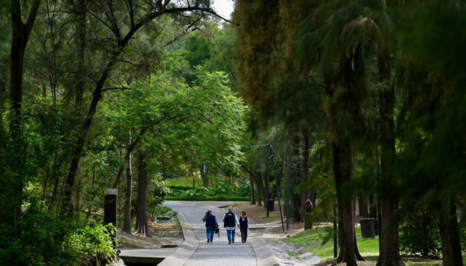 Proyecta Gobierno de Jalisco plantar 211 mil árboles durante Campaña Estatal de Reforestación 2026